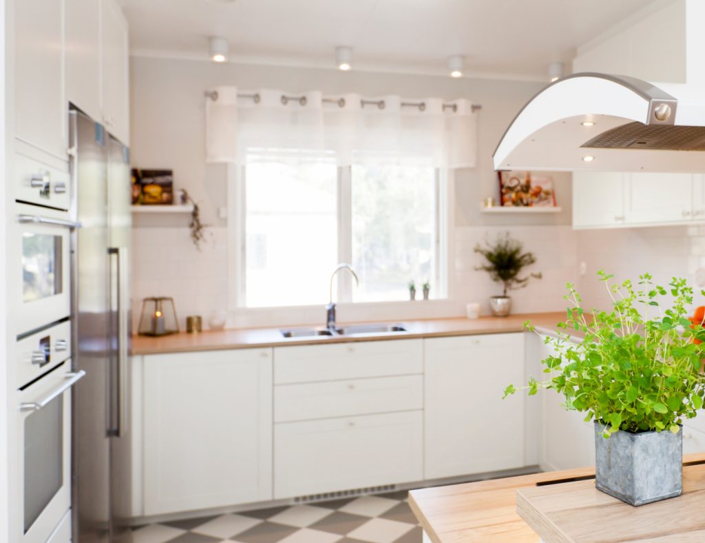a neat white kitchen with a green plant on the counter