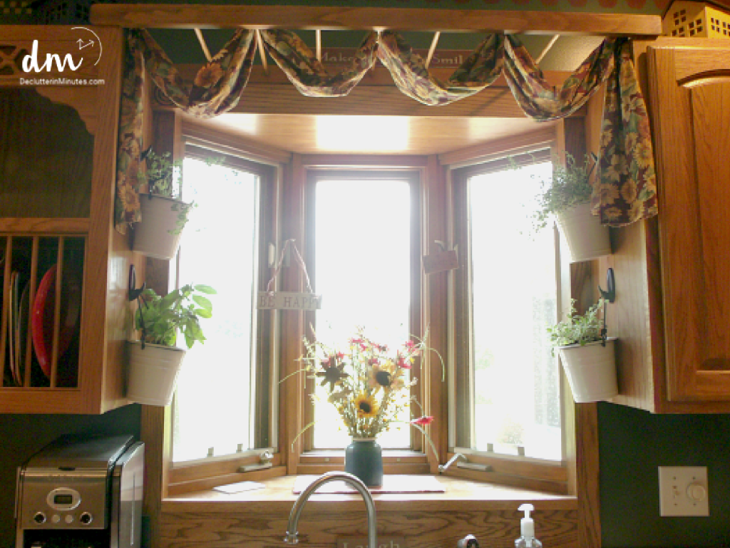 potted herb plants hanging in a kitchen window