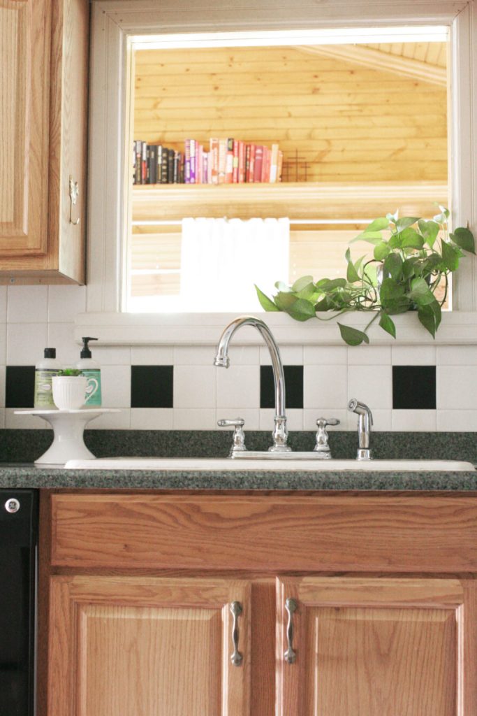A kitchen sink area with a faucet, potted plant, and a cake pedestal that hold dish soap and a plant