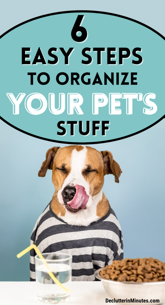 How to Organize pet supplies