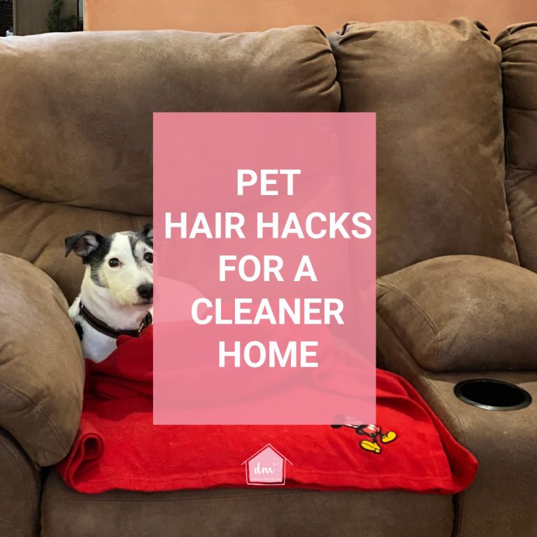 PET HAIR REMOVAL HACKS