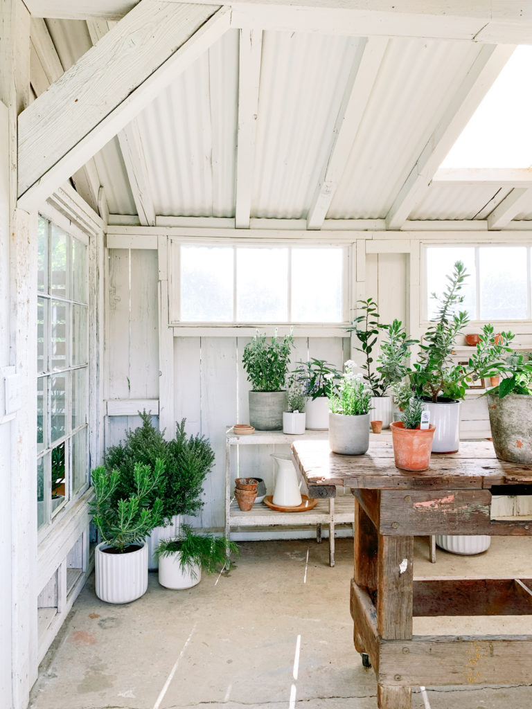 a collection of plants growing in a sun room 